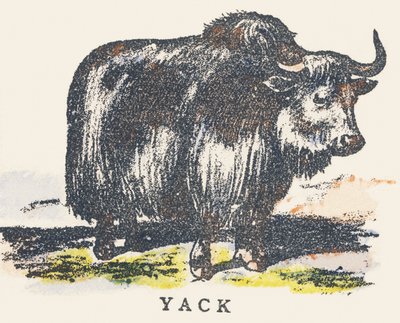 Y: yak de Unknown artist