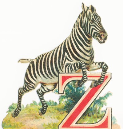 Z: Cebra de Unknown artist