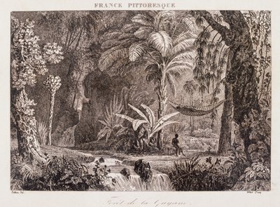 grabado que representa la colonia francesa de Guyana en América del Sur 1850 de Unknown artist