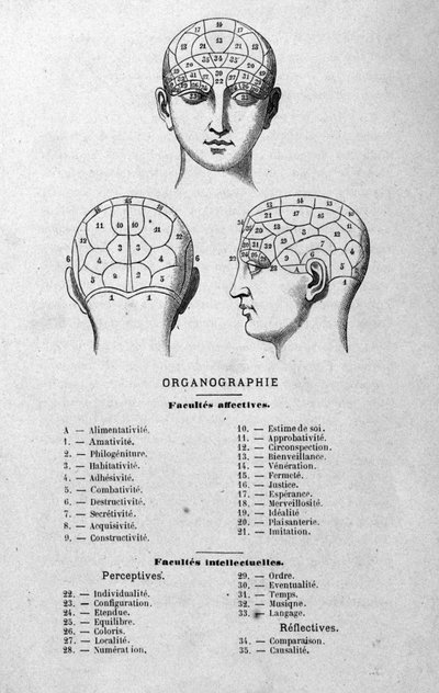 Ilustración del libro de Charles Rouvin de 1873 Organographie La Tête humaine, estudios ilustrados de frenología y fisionomía aplicados a personajes famosos, París 1873 de Unknown artist