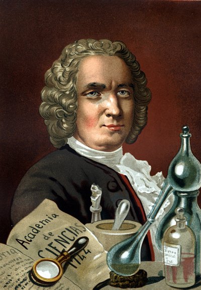Retrato de Guillaume François Rouelle, químico francés de Unknown artist