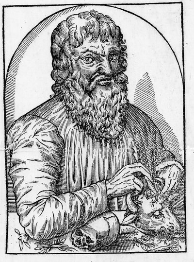 Retrato de Hipócrates (460- alrededor 377 a.C.), médico griego de Unknown artist