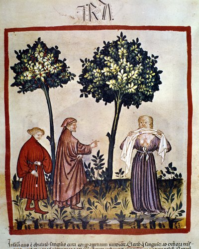 Rabia o persona enfadada apretando un pañuelo entre sus dientes. Iluminación del siglo XIV del “Tacuinum Sanitatis”, Viena, Biblioteca Nacional. de Unknown artist