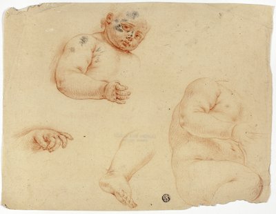 Bocetos de un niño:  Medio cuerpo, torso, pie, mano de Unknown Lombard
