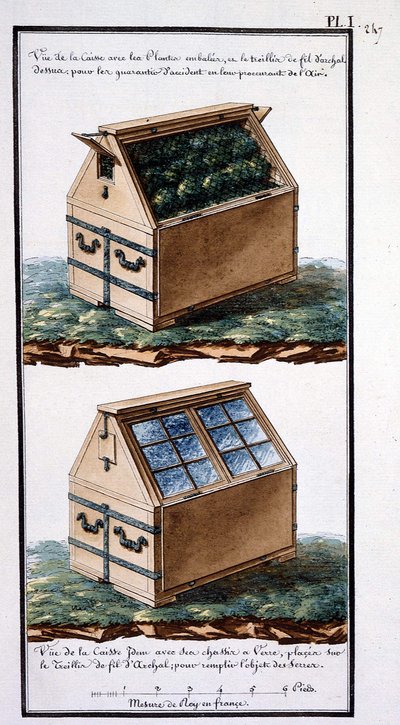 1. Vista de la caja con plantas empaquetadas, y malla de alambre en la parte superior: para protegerlas de accidentes proporcionando aire. Vista del cuerpo con sus marcos de vidrio, colocados sobre la malla de alambre: para cumplir el objetivo de las serre de Unknown artist