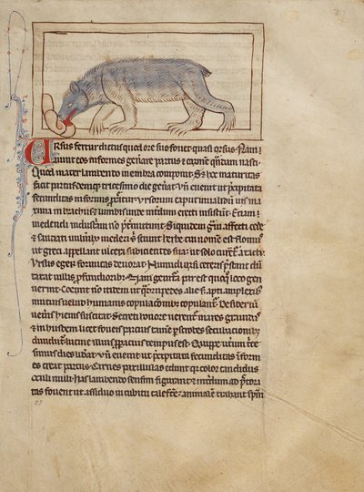 Un Oso de Unknown artist