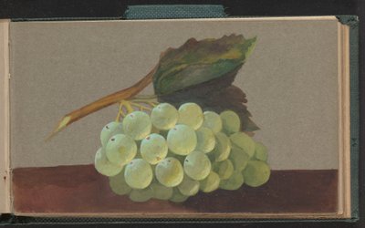 Un racimo de uvas de Unknown artist