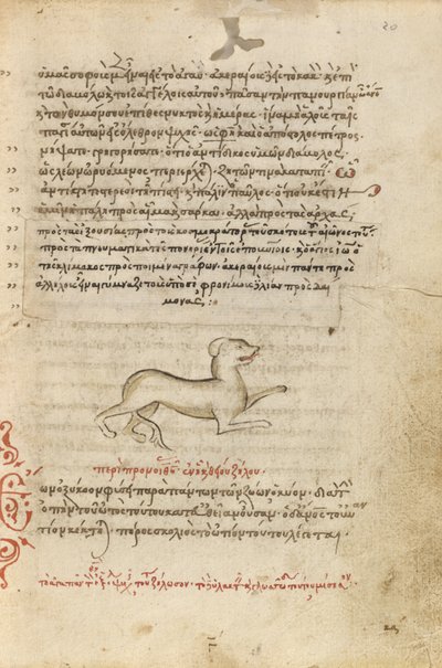 Un perro de Unknown artist