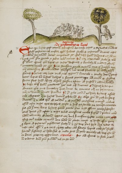 Bandada de pájaros bajo un árbol, entre ellos un águila coronada con un blasón heráldico en las alas de Unknown artist