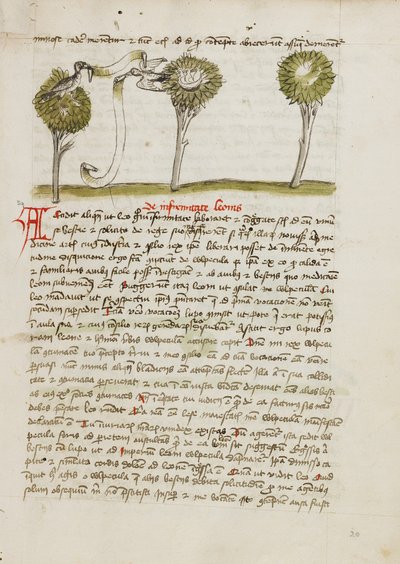 Un azor en un árbol y un ruiseñor volando lejos de su nido de Unknown artist