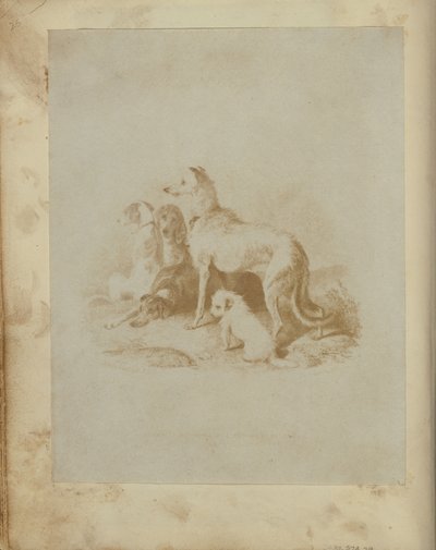 [Un grupo de cinco perros] de Unknown artist