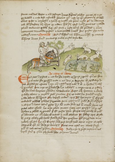 Un cazador a caballo cazando liebres de Unknown artist