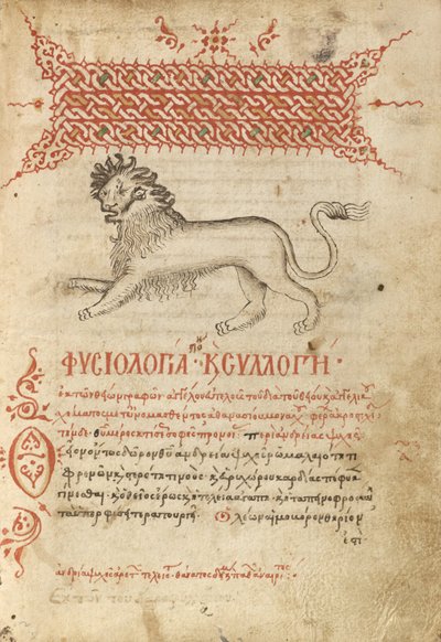 Un León de Unknown artist