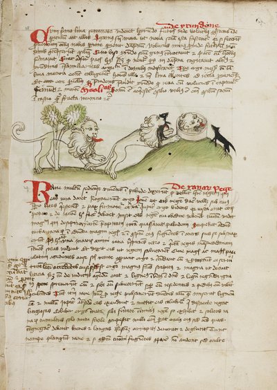 Un león y otro león con un ratón de Unknown artist