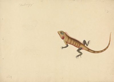 Un lagarto con dibujos de un escorpión y una araña de Unknown artist
