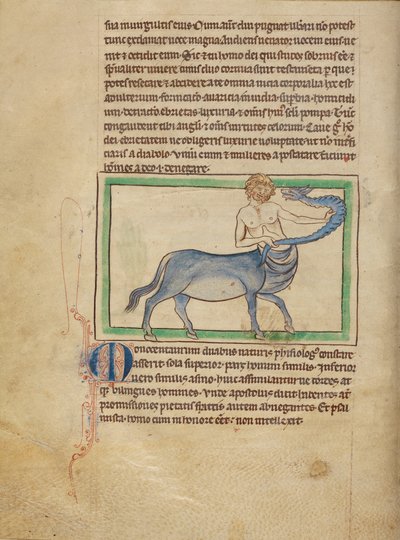 A Monocentaurus de Unknown artist