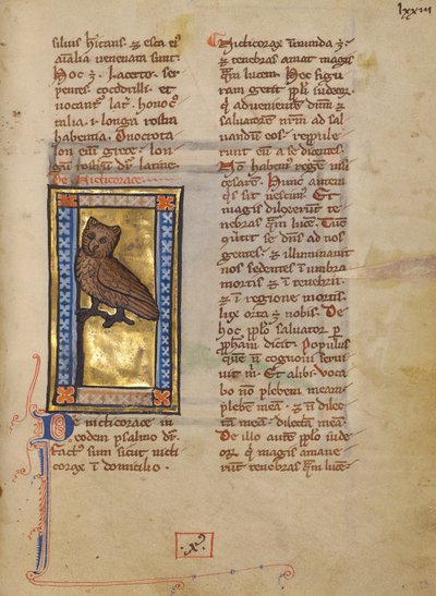 Una garza nocturna de Unknown artist