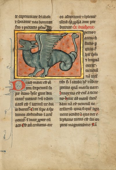 Un dragón alado de Unknown artist