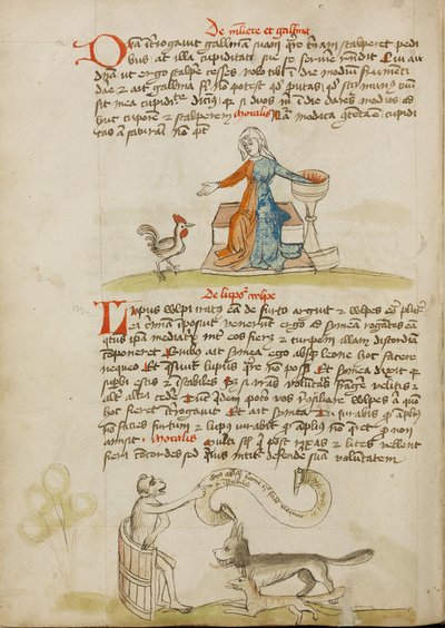 Una mujer con una vasija y una gallina; un mono instruyendo a un zorro y un lobo de Unknown artist