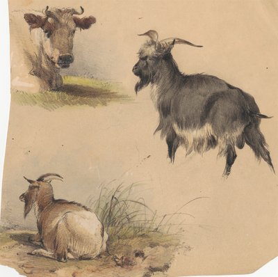 Una vaca y dos cabras de Unknown artist