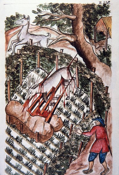 Un ciervo cae en la trampa de los cazadores, del libro "Trujillo del Perú" o "Códice Martínez Compañón", por Baltazar Martínez Compañón y Bujanda, obispo de Trujillo (1782-1785) de Unknown artist