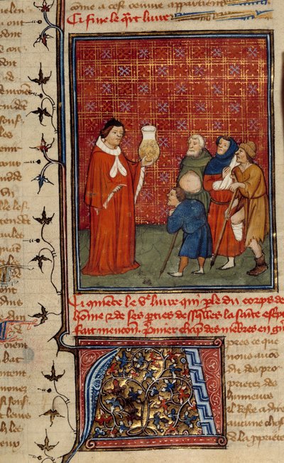 Un doctor examinando un frasco de orina frente a pacientes. Miniatura tomada de Barthelemy el Inglés de Unknown artist