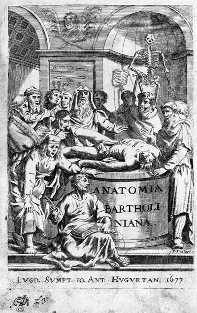 Una lección de anatomía. Frontispicio tomado de 