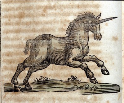 Unicornio, animal mitológico - Grabado de una obra de Athanasius Kircher de Unknown artist