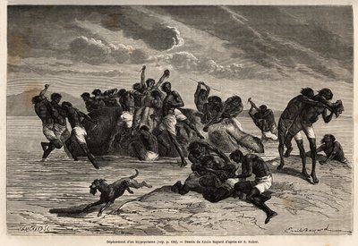 Después de haber tomado su parte y la parte atribuida al líder de la tribu Hamran, la multitud lucha brutalmente por los pedazos restantes. Grabado para ilustrar la exploración de los tributarios abisinios del Nilo, por Sir Samuel W. Baker de Unknown artist