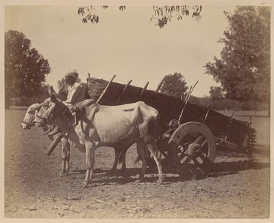 Carro agrícola, Guzerat de Unknown artist