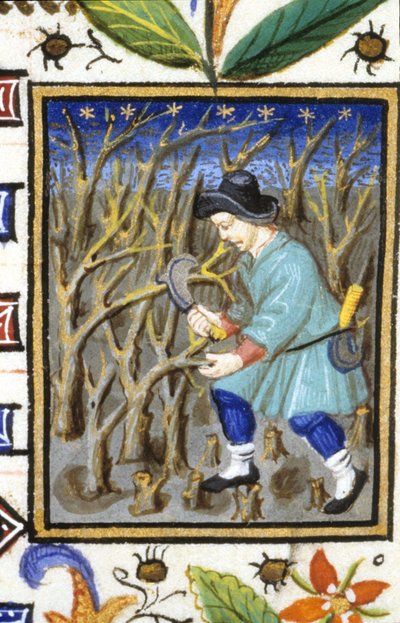 Representación alegórica de marzo. Un hombre cortando arbustos. Miniatura de un manuscrito del siglo XIV. de Unknown artist