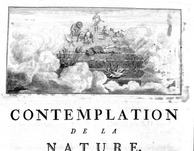 Representación alegórica de la evolución del hombre de los minerales, pasando por especies vegetales y animales. Charles Bonnet, Contemplación de la Naturaleza, Neuchatel de Unknown artist