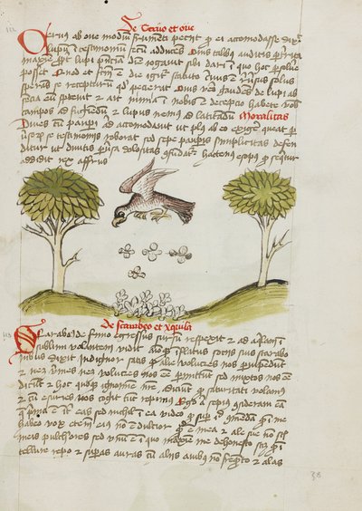 Un águila sobrevolando un enjambre de insectos de Unknown artist