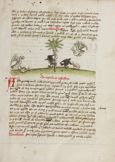 Un águila se apodera de un caracol; un cuervo picotea un caracol de Unknown artist