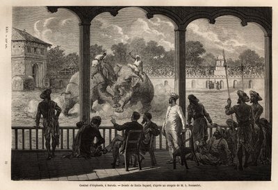 Una pelea de elefantes en Baroda, Gujarat. Grabado para ilustrar el viaje en India de los Rajás, por Louis Rousselet, en 1864-1868, publicado en 