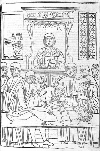 Disección anatómica. Grabado de un tratado de Medicina de Gerolamo Cardano, Florencia de Unknown artist
