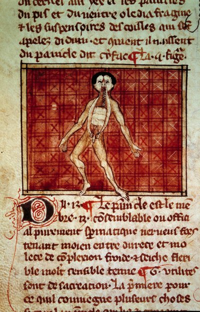 Figura anatómica: piel, pecho abierto. Miniatura del manuscrito “Cirugía” (Folio 11v) escrito por Henri de Mondeville (cirujano de Felipe el Hermoso profesor de anatomía) de Unknown artist