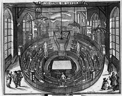 Teatro anatómico de la Universidad de Leiden, finales del siglo XVII. de Unknown artist