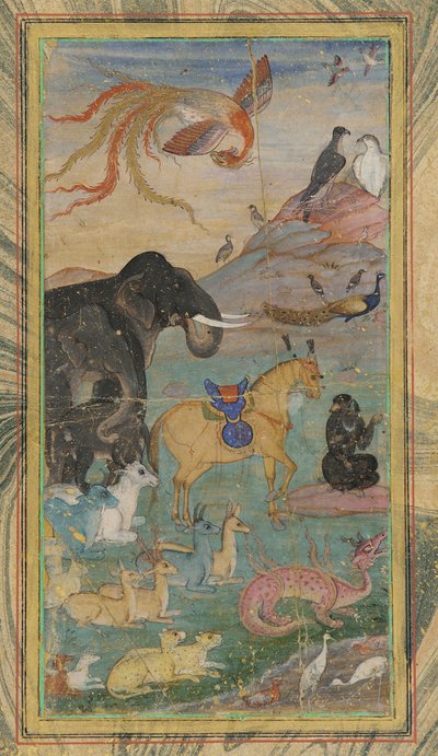 Animales y aves de Unknown artist