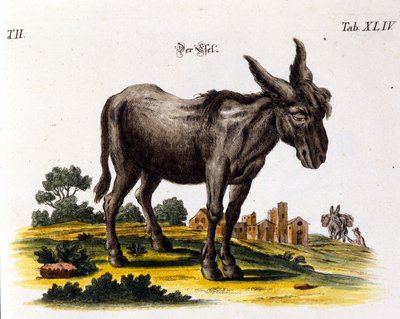Ankey. Representación del siglo XVIII de Unknown artist