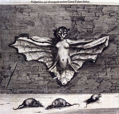 Murciélagos y ratas. "De China Monumenta" de Athanasius Kircher de Unknown artist
