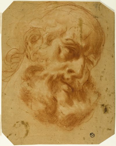Cabeza con barba de Unknown artist