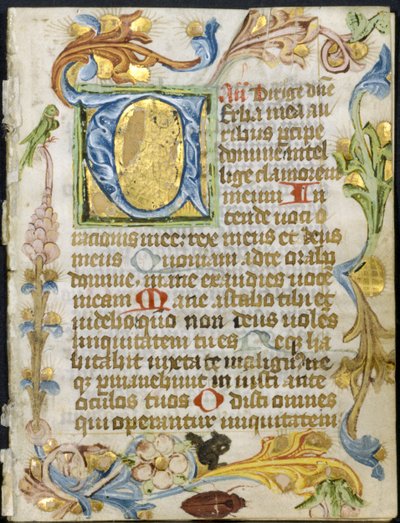 Bifolio de un Libro de Horas: Inicial V con Borde Floral de Unknown artist