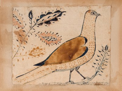 Pájaro de Unknown artist