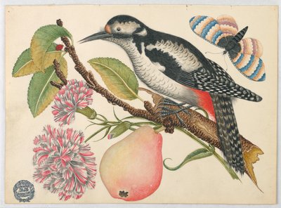 Pájaro, mariposa y pera de Unknown artist
