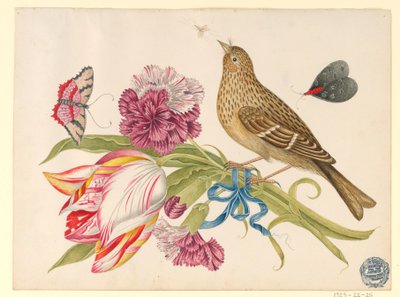 Pájaro con tulipán, clavel, mariposas e insecto de Unknown artist
