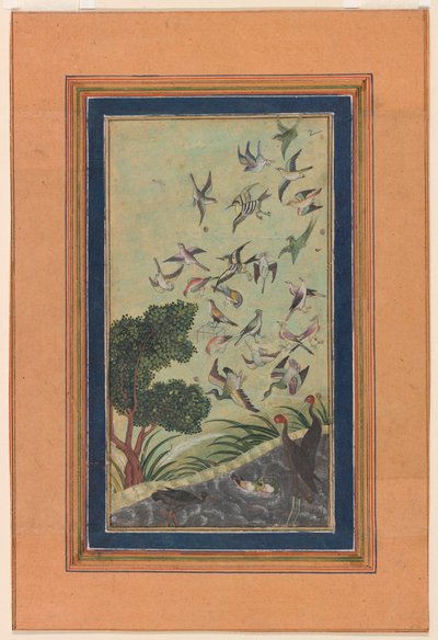 Aves en Baran, posiblemente del Babur-nama de Unknown artist