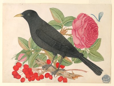 Pájaro negro con rosas de Unknown artist