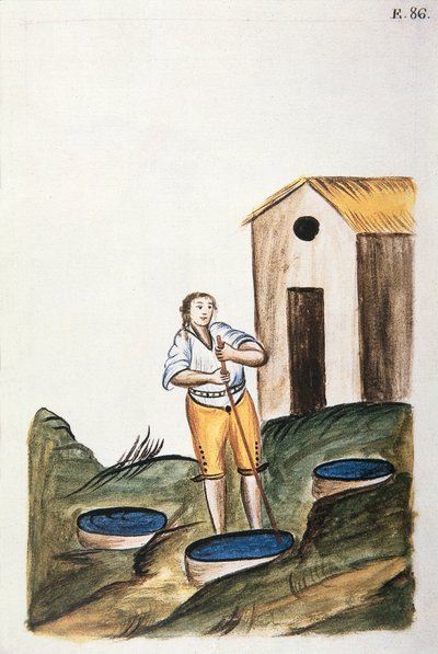 Bandeja de tinte azul usada para teñir lana, del libro "Trujillo del Perú" o "Códice Martínez Compañón", por Baltazar Martínez Compañón y Bujanda, obispo de Trujillo (1782-1785) de Unknown artist
