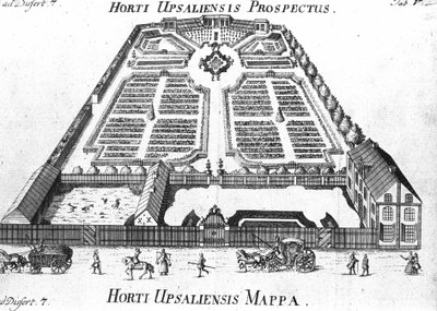 Jardín Botánico - HORTI UPSALIENSIS perspectiva y plano de Unknown artist
